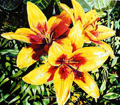 Ref.G03 Botanical Tulips after the Rain.
